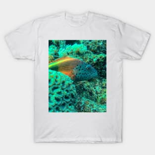 Freckled hawkfish T-Shirt